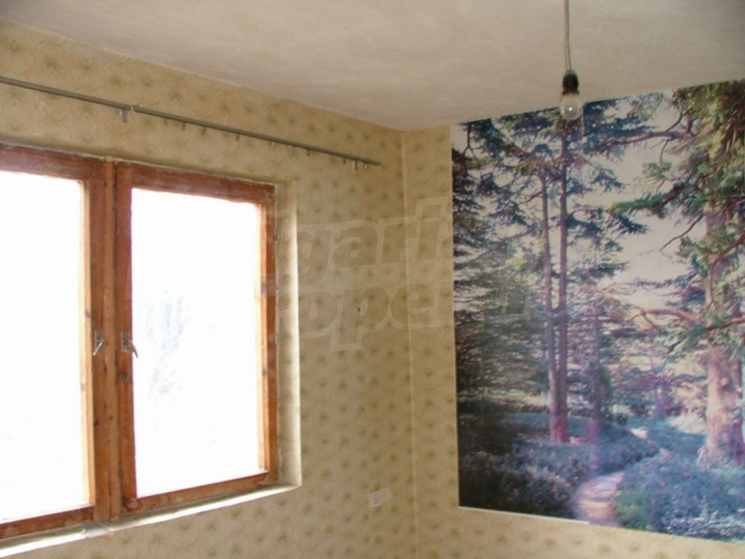 Gallery Picture 9