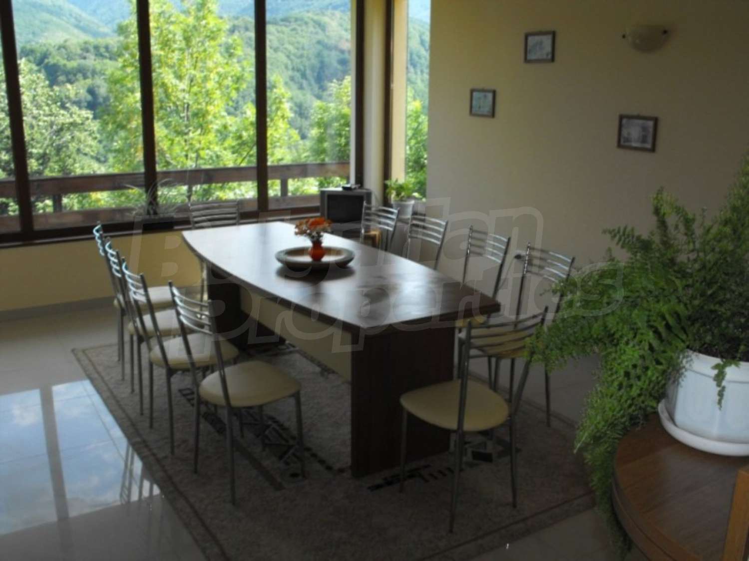 Gallery Picture 6