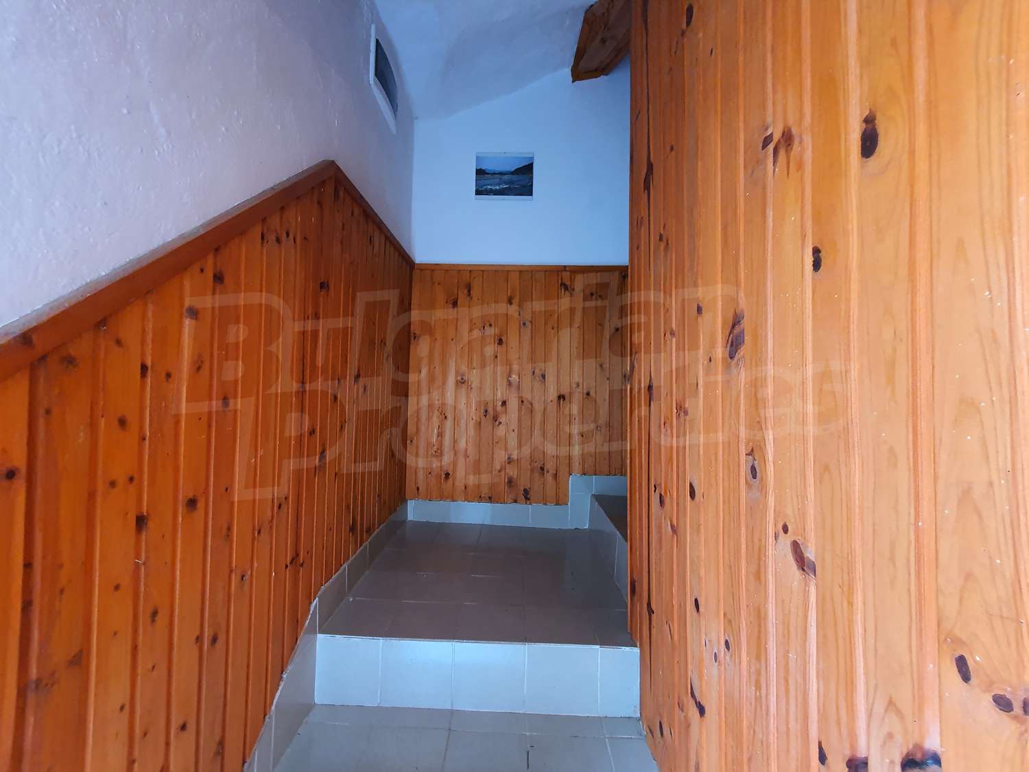 Gallery Picture 26