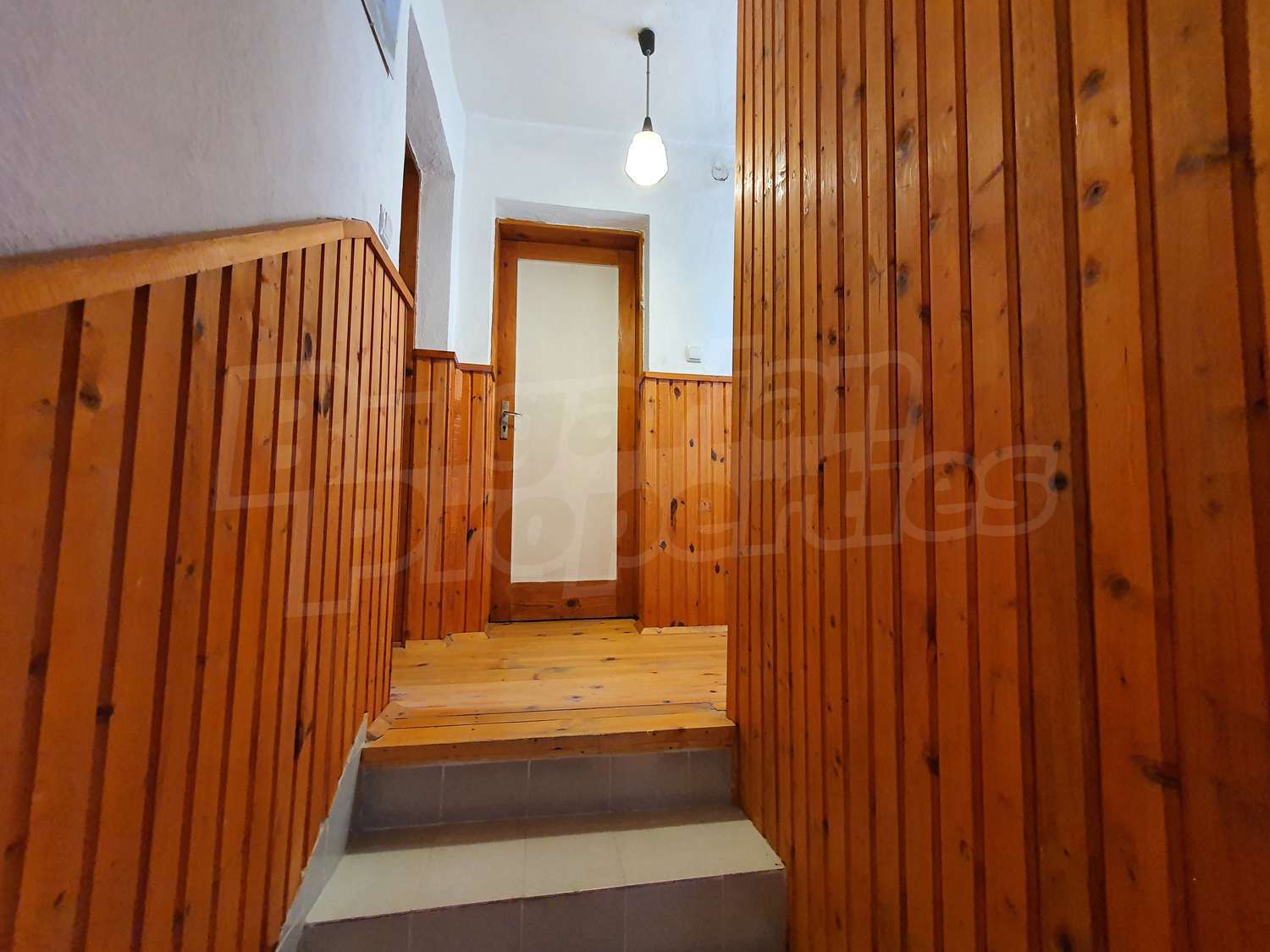 Gallery Picture 27