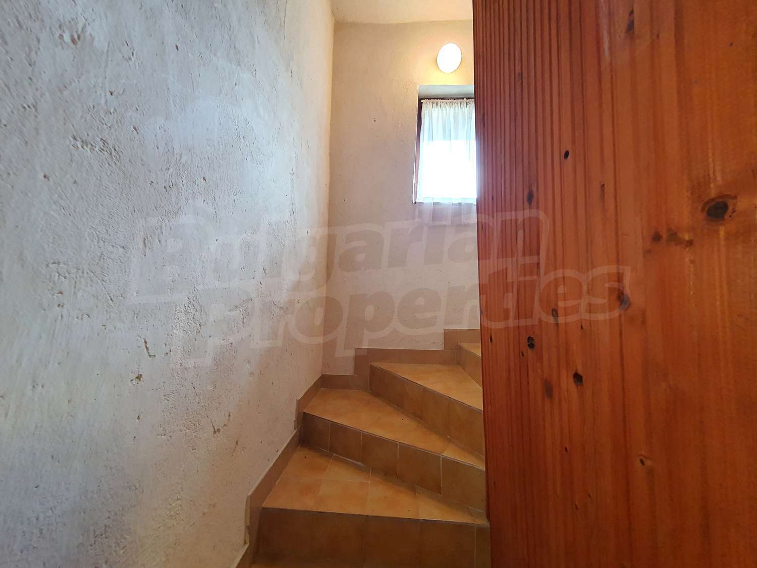 Gallery Picture 38