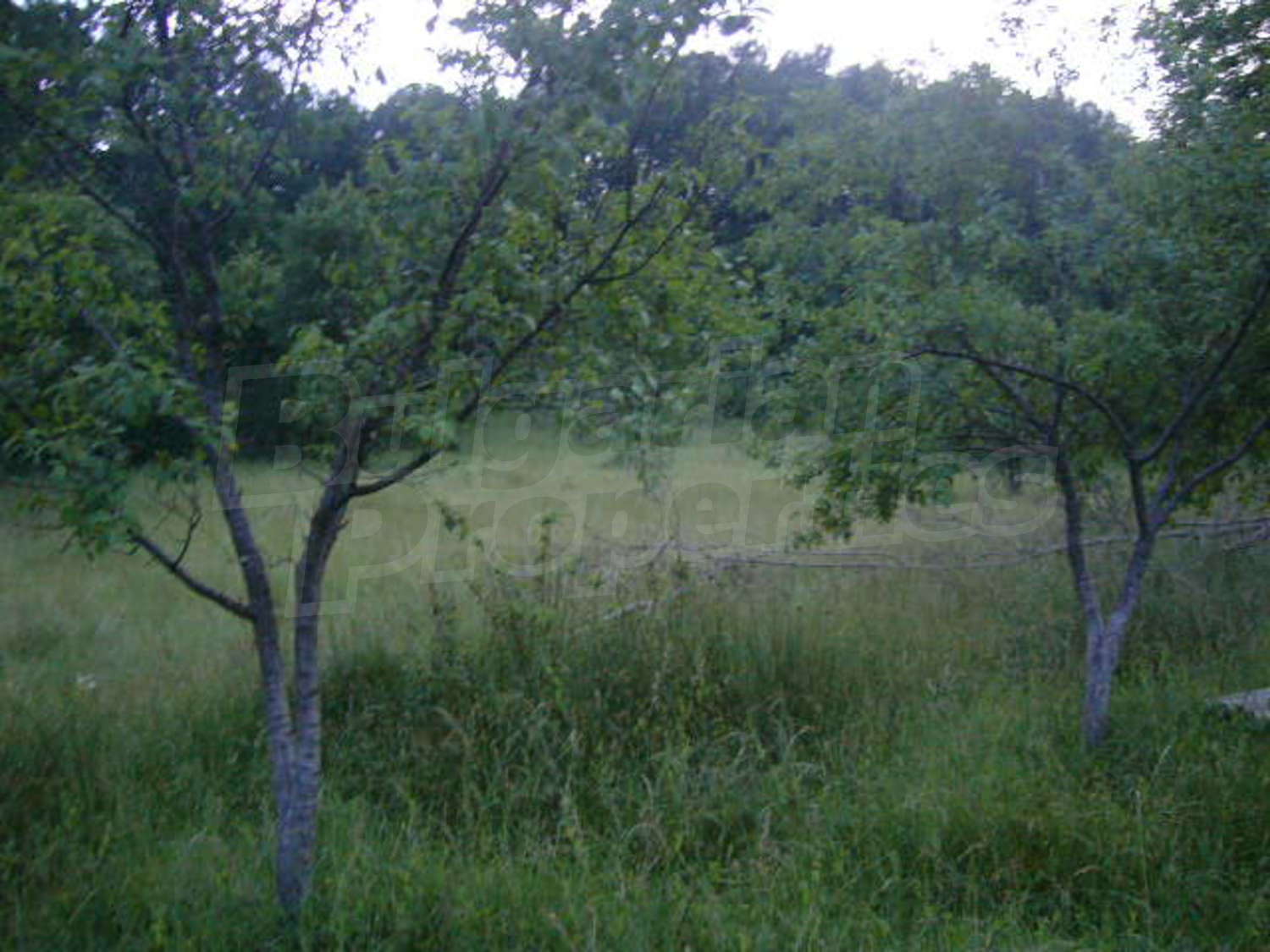 Gallery Picture 7