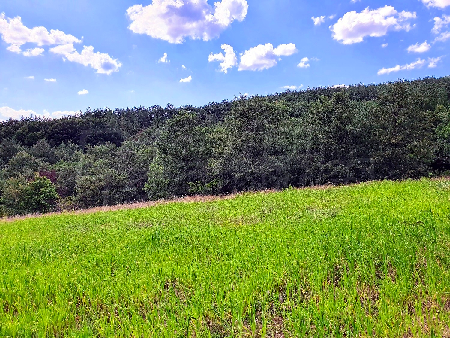 Development land for sale in Podgorie, Bulgaria. Large panoramic plot