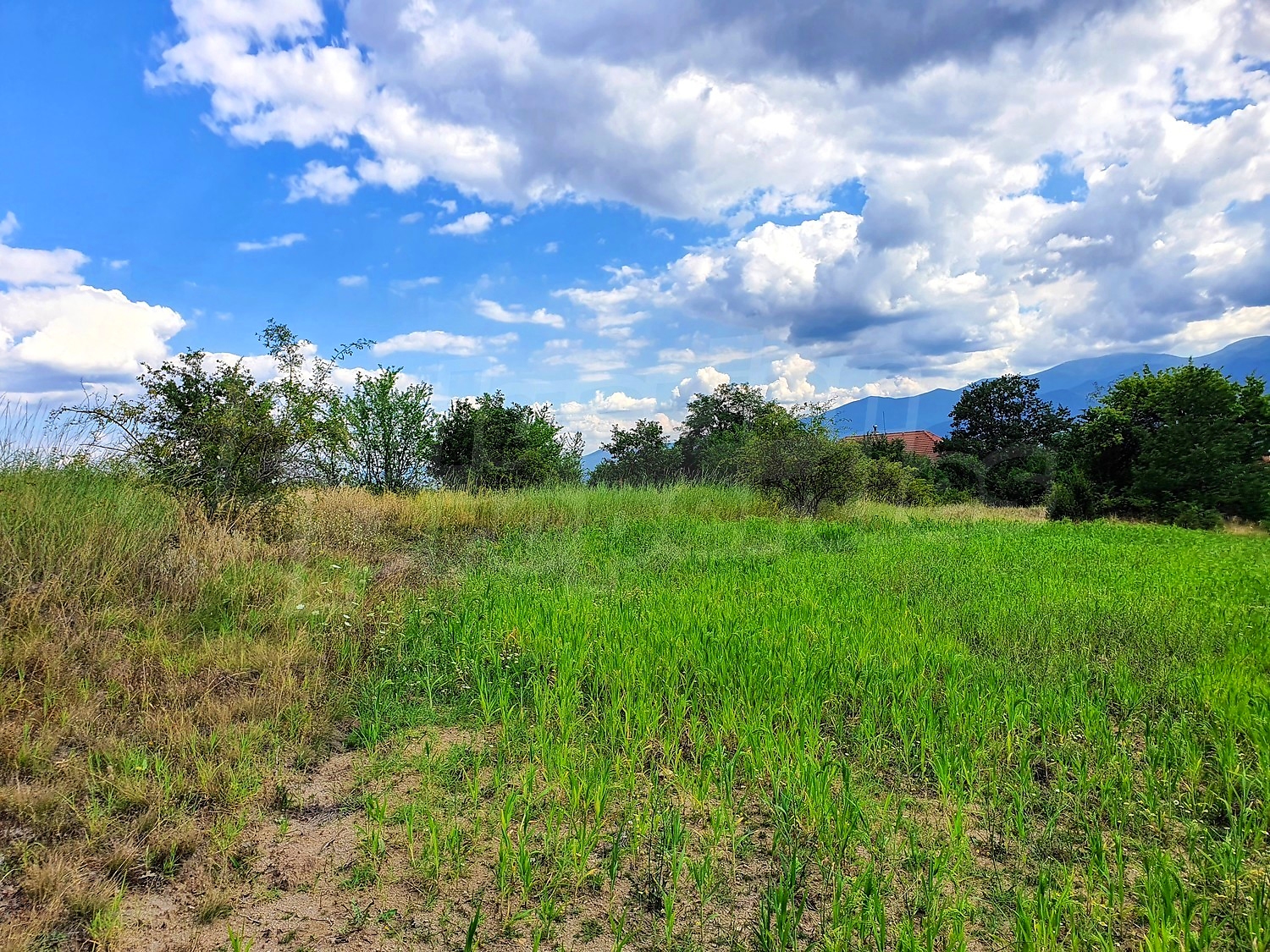 Development land for sale in Podgorie, Bulgaria. Large panoramic plot