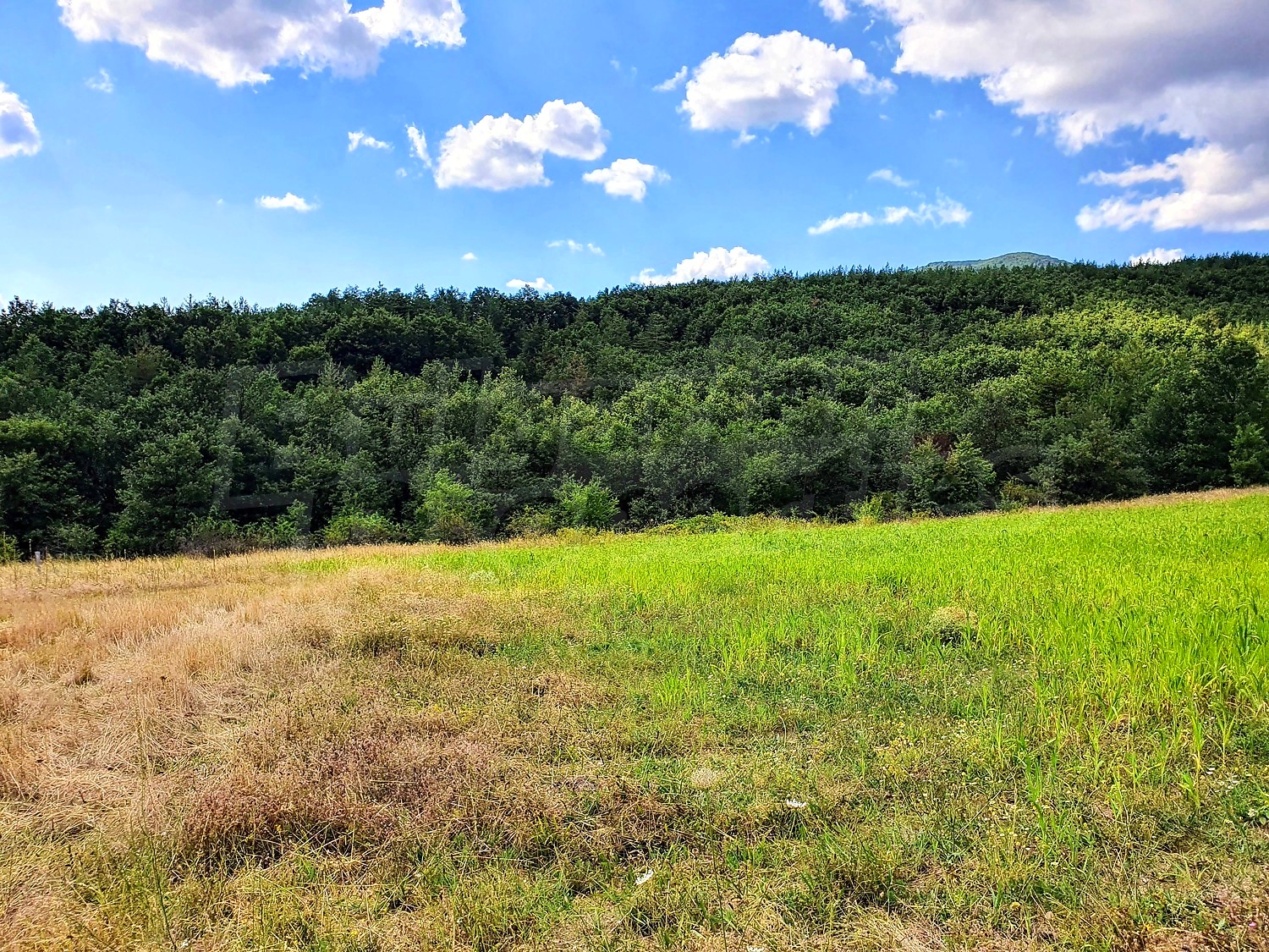 Development land for sale in Podgorie, Bulgaria. Large panoramic plot