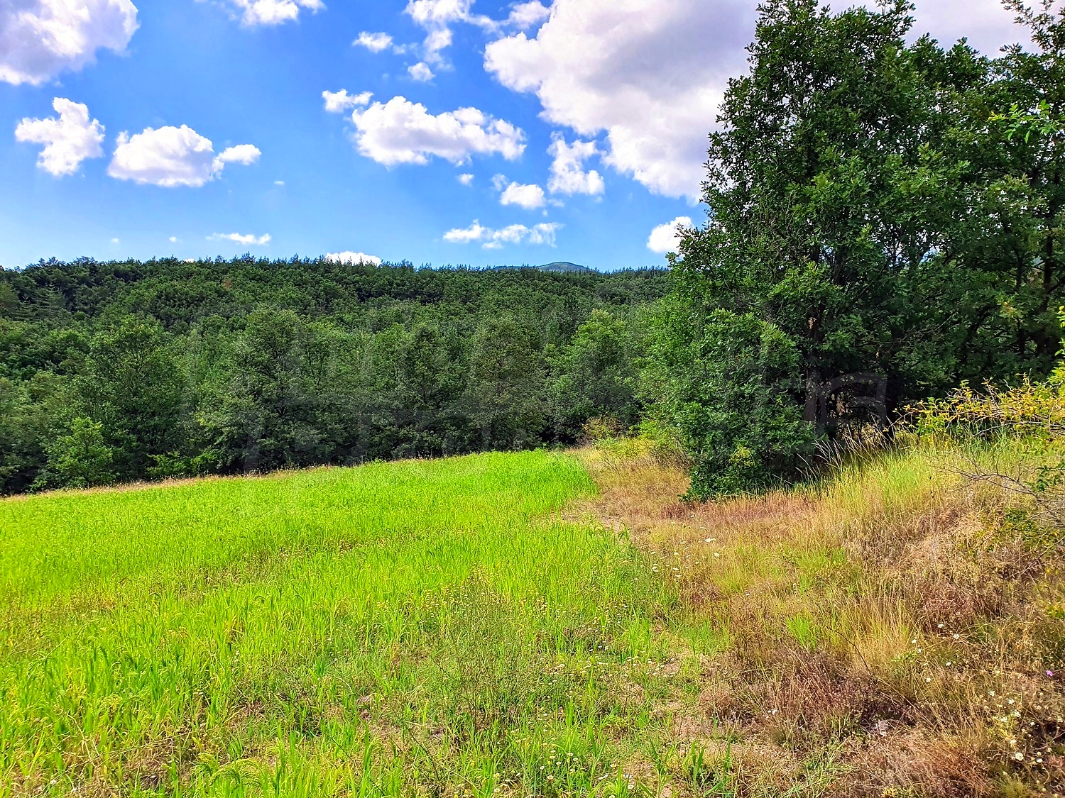 Development land for sale in Podgorie, Bulgaria. Large panoramic plot