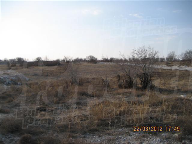 Gallery Picture 6