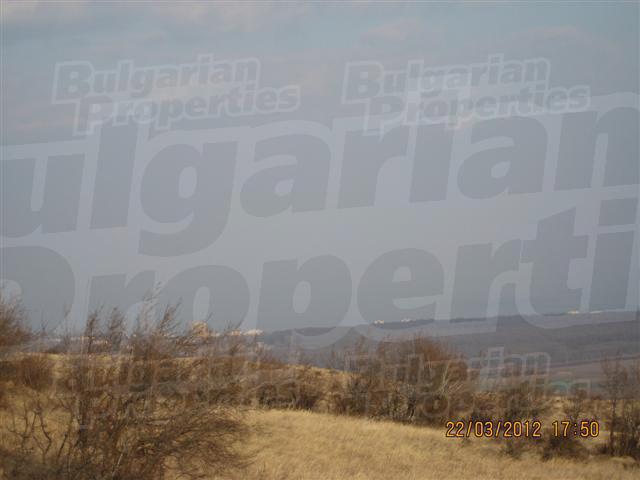 Gallery Picture 7