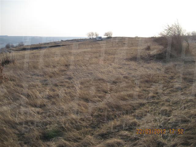 Gallery Picture 8