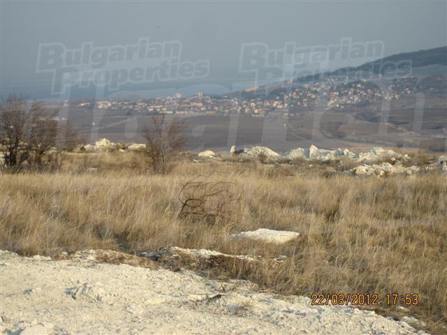 Gallery Picture 9