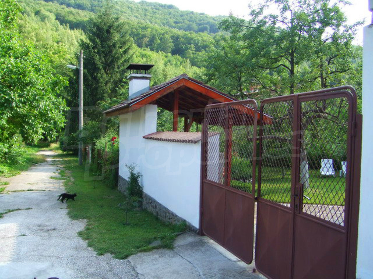 Gallery Picture 10