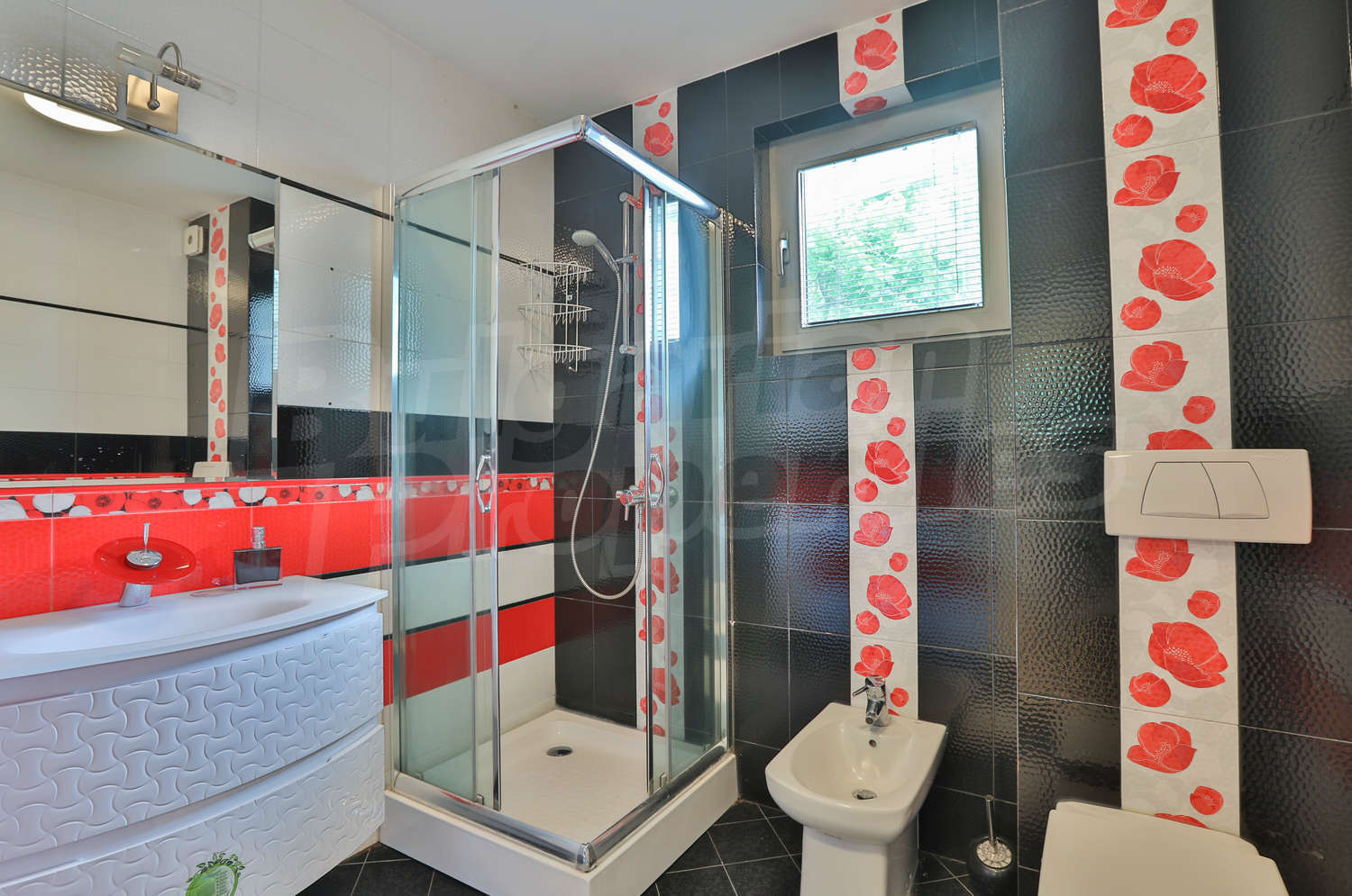 Gallery Picture 7