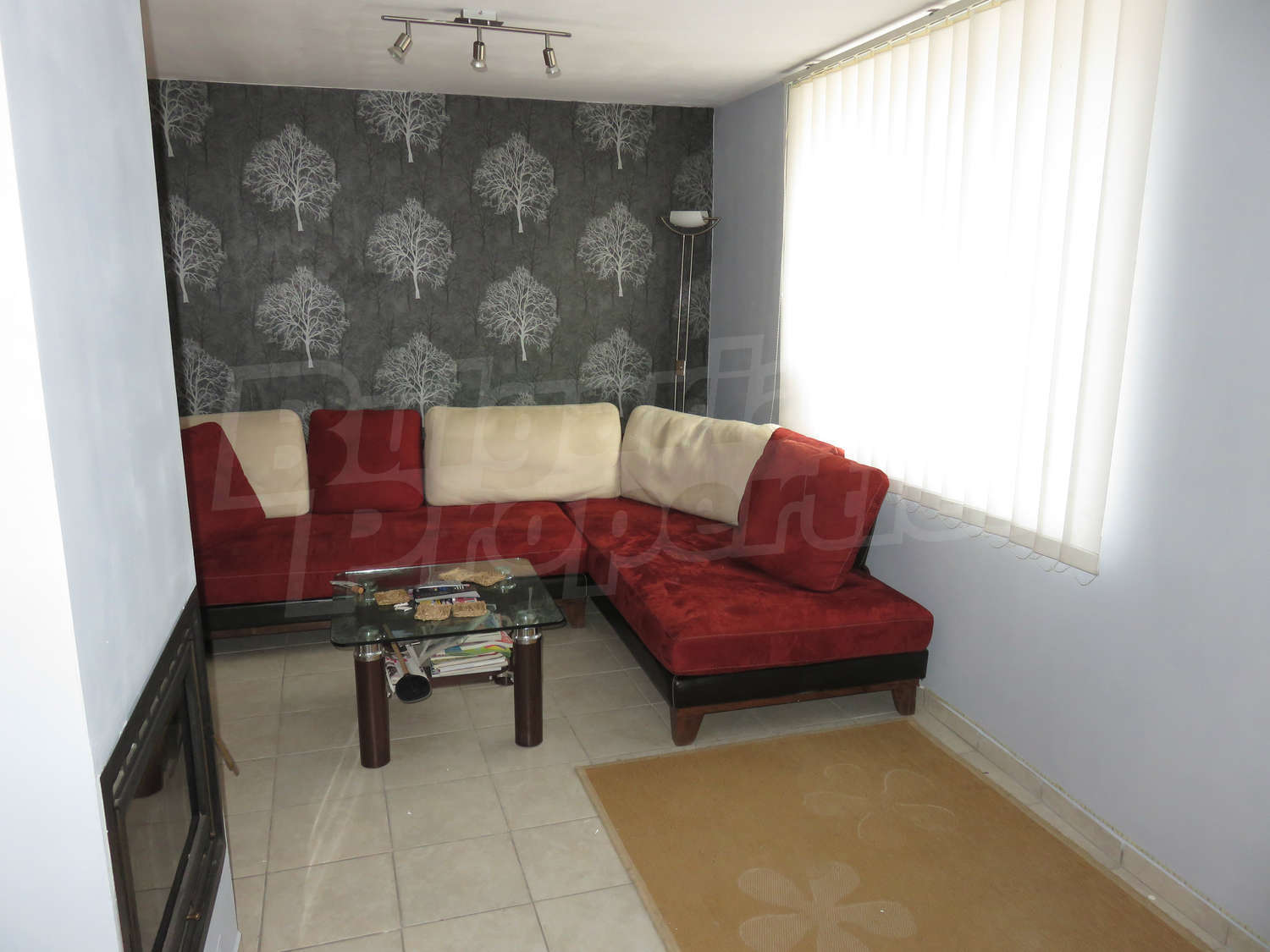 Gallery Picture 11