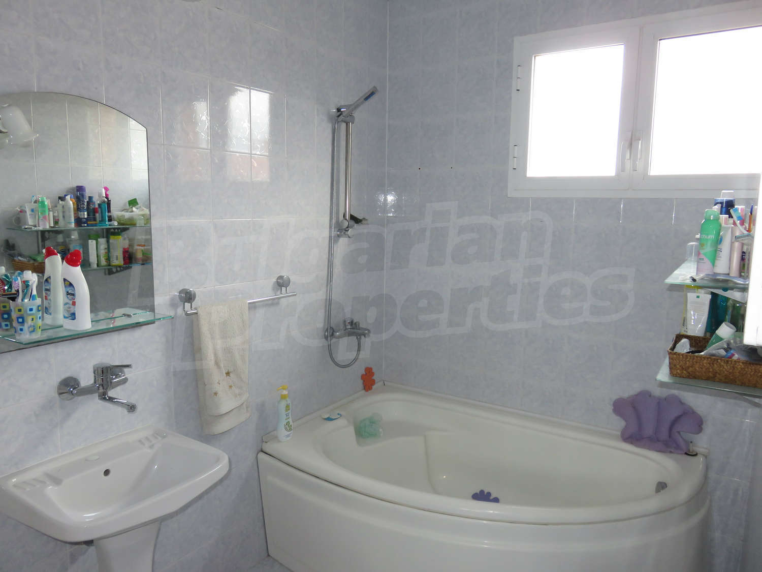 Gallery Picture 29