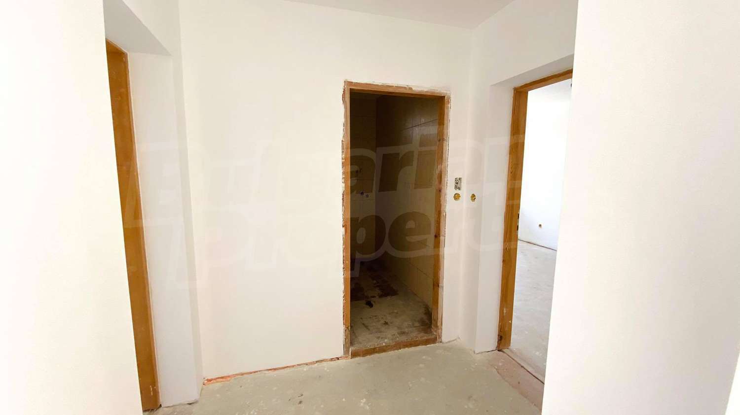 Gallery Picture 24