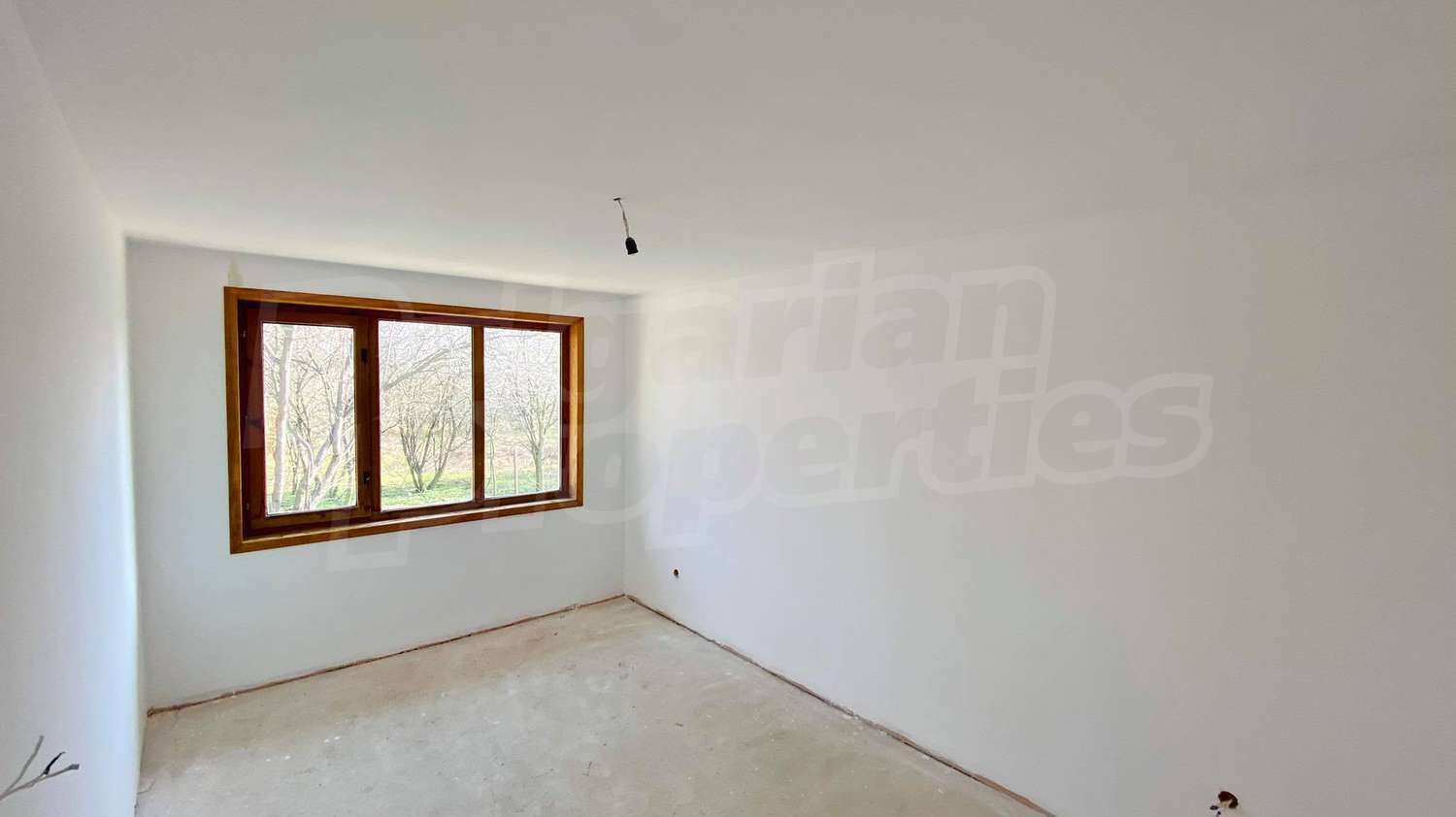 Gallery Picture 25