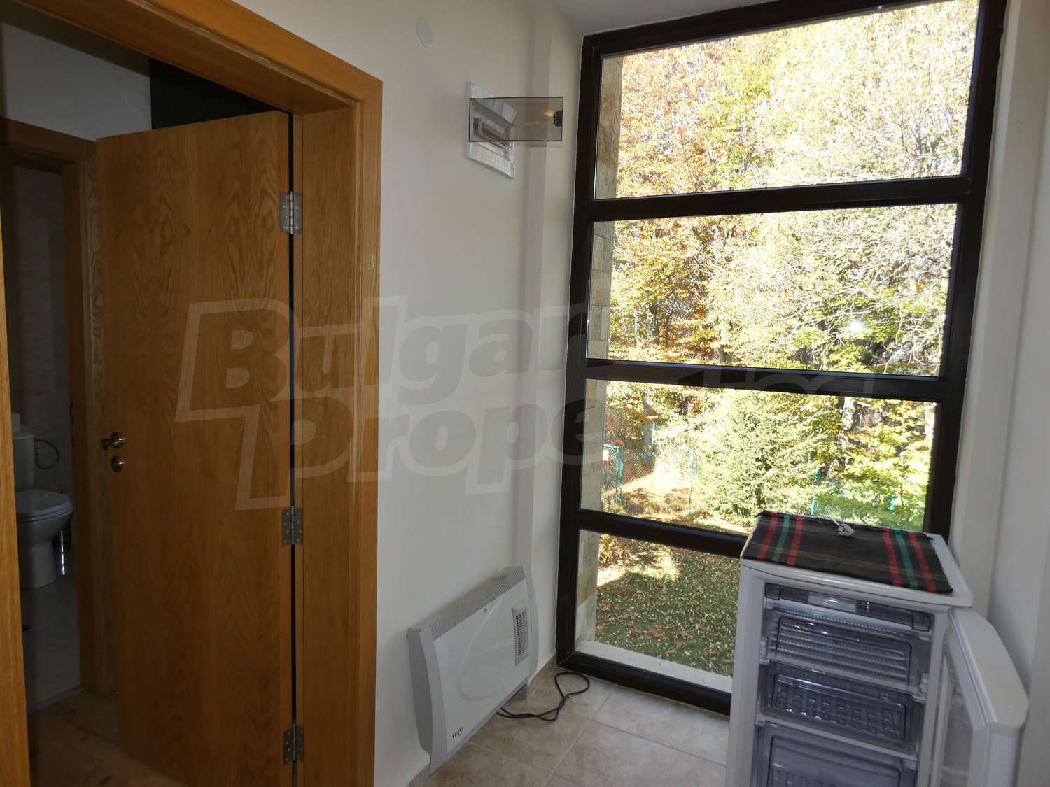 Gallery Picture 17