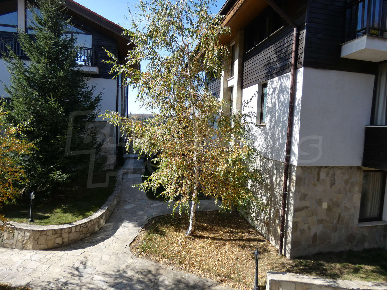 Gallery Picture 28