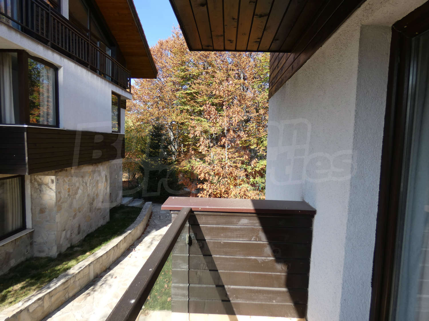 Gallery Picture 29
