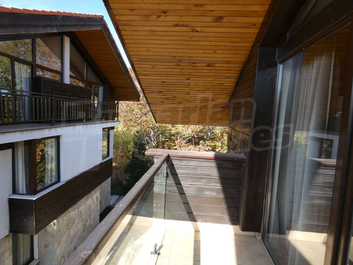 Gallery Picture 39