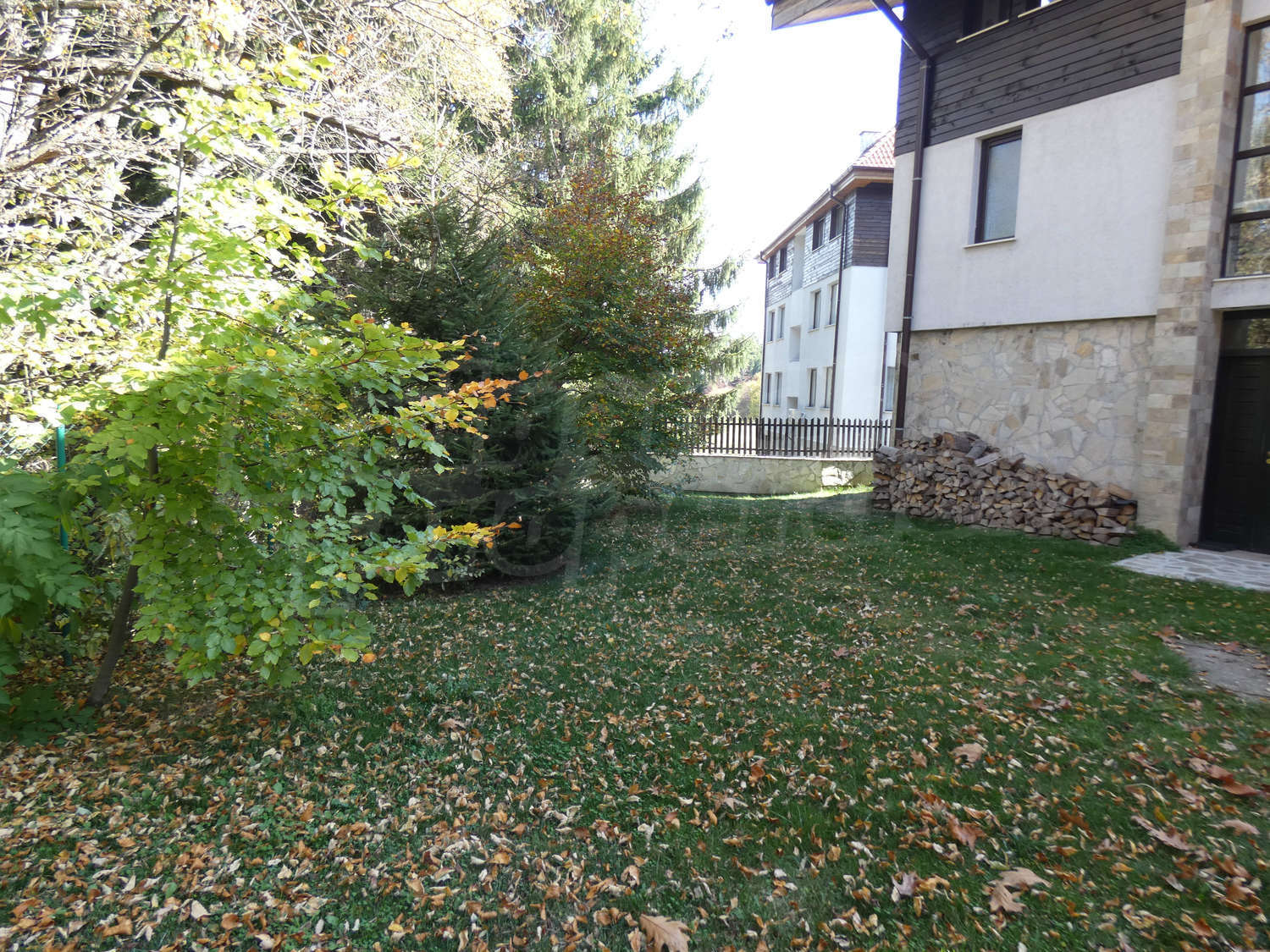 Gallery Picture 53