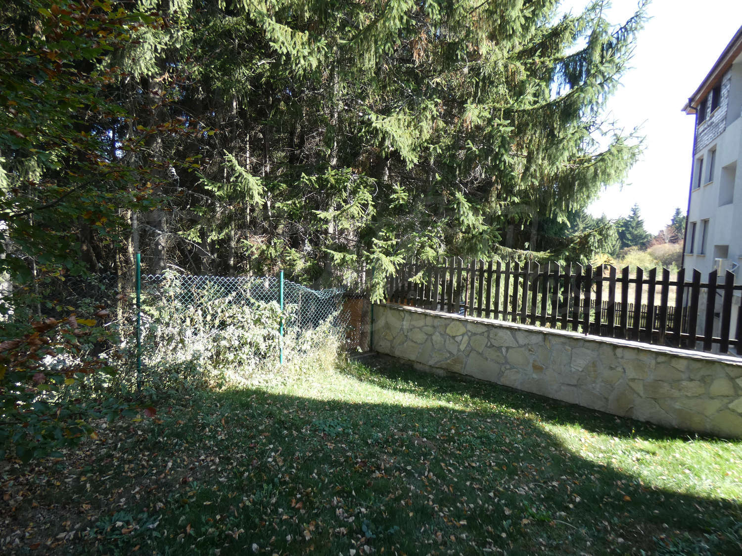 Gallery Picture 56