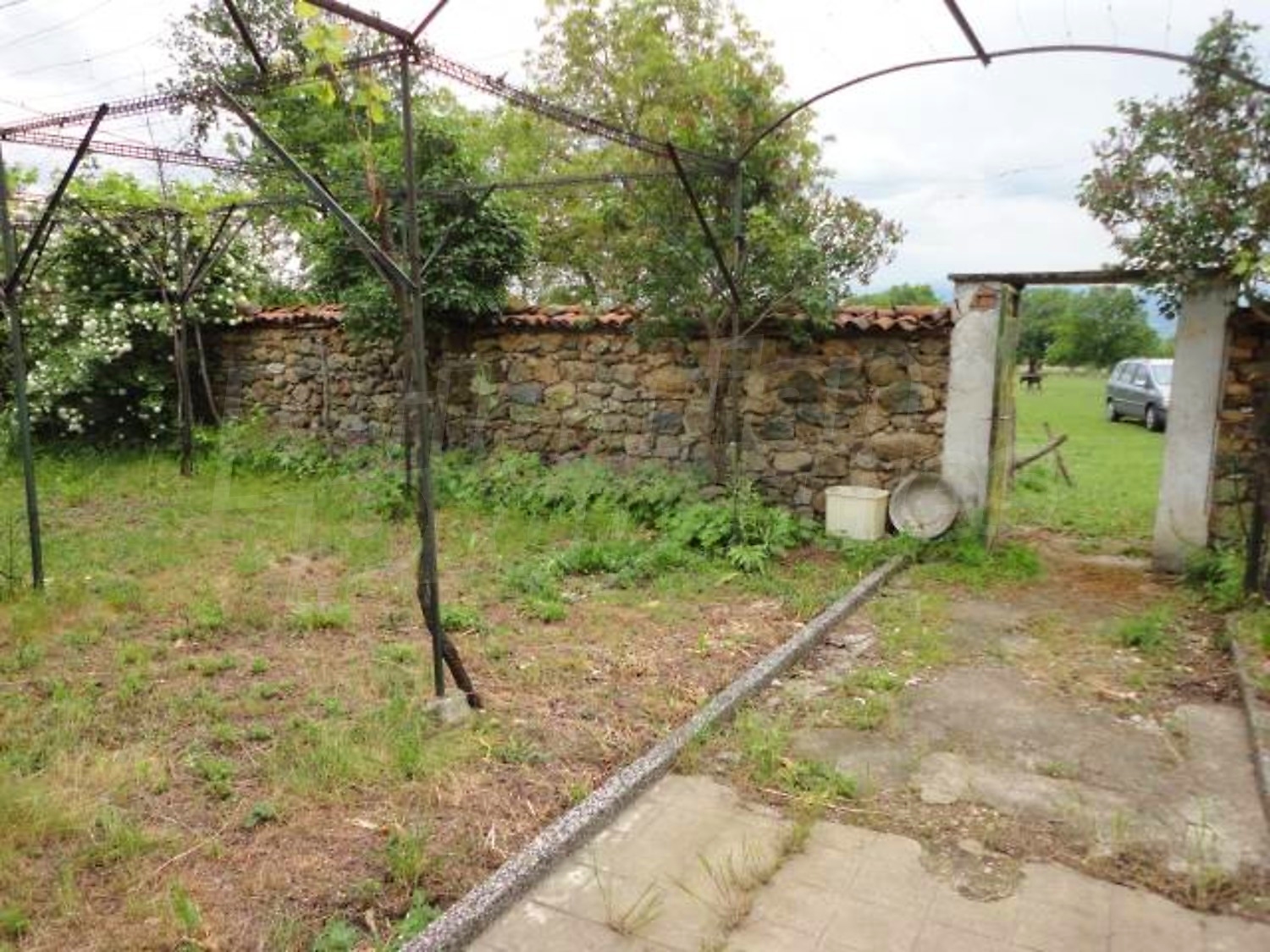 Gallery Picture 26