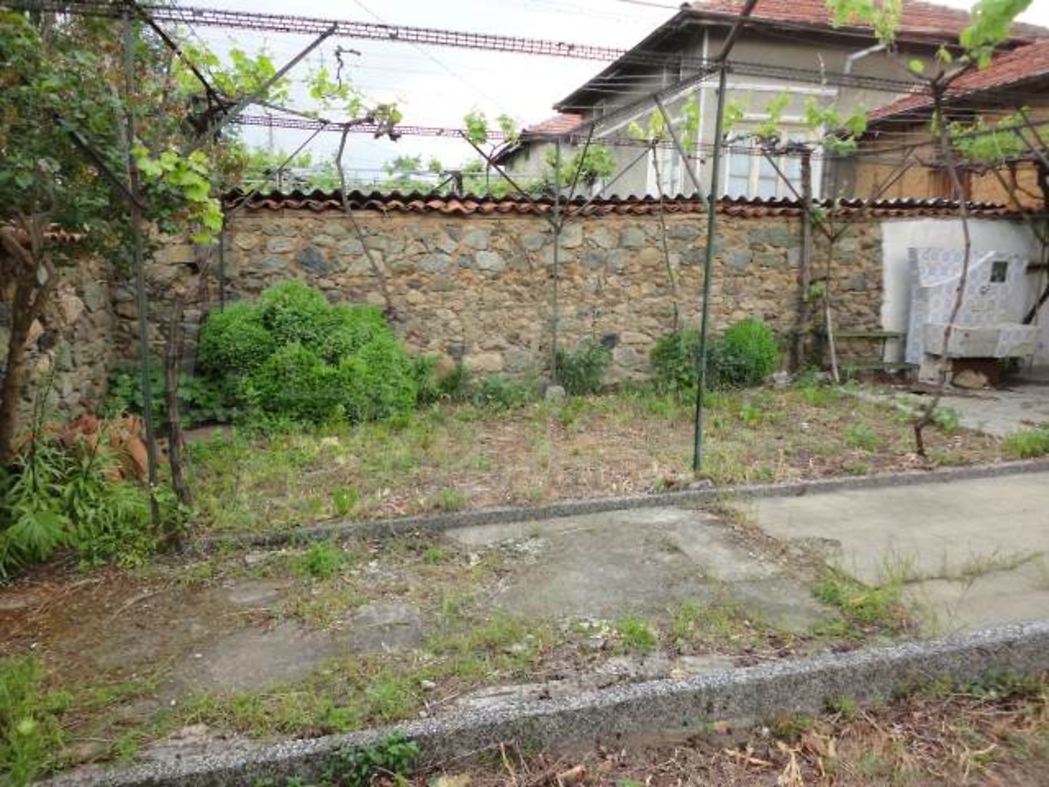 Gallery Picture 27