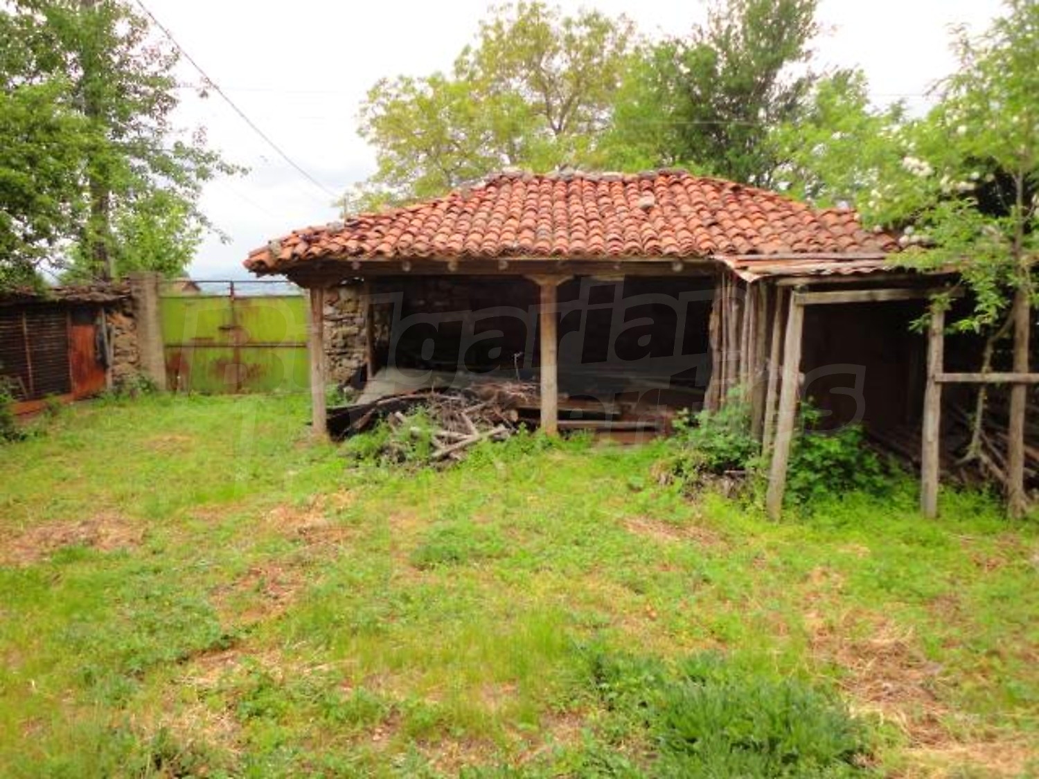 Gallery Picture 35