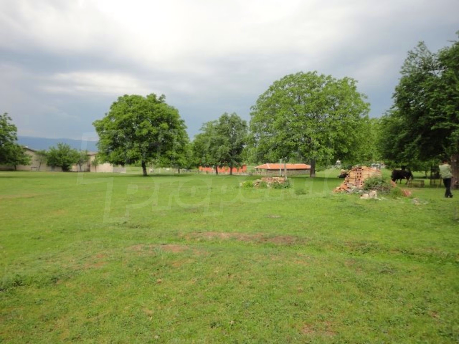 Gallery Picture 40