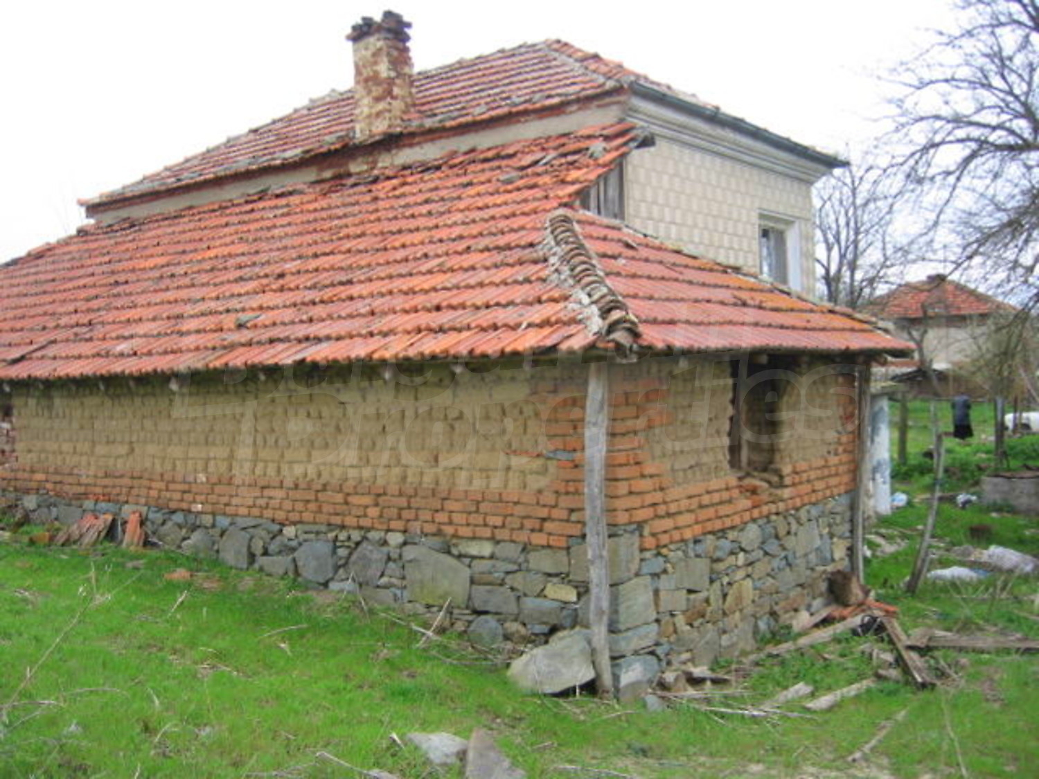 Gallery Picture 10