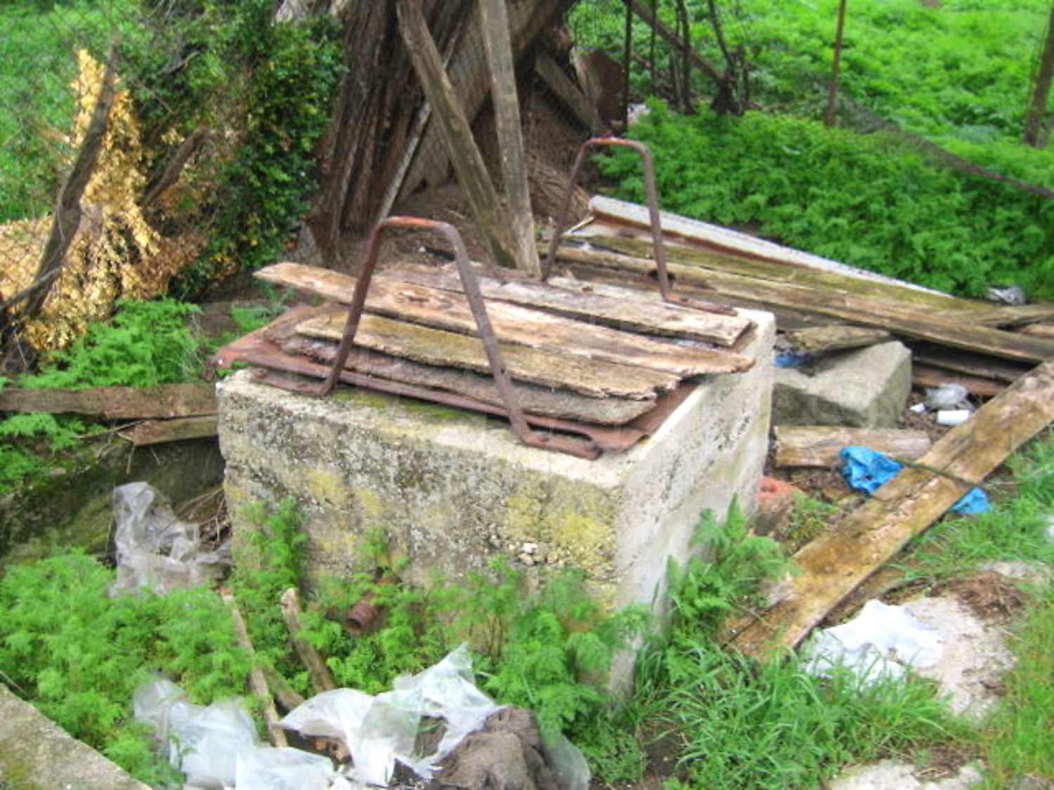 Gallery Picture 11