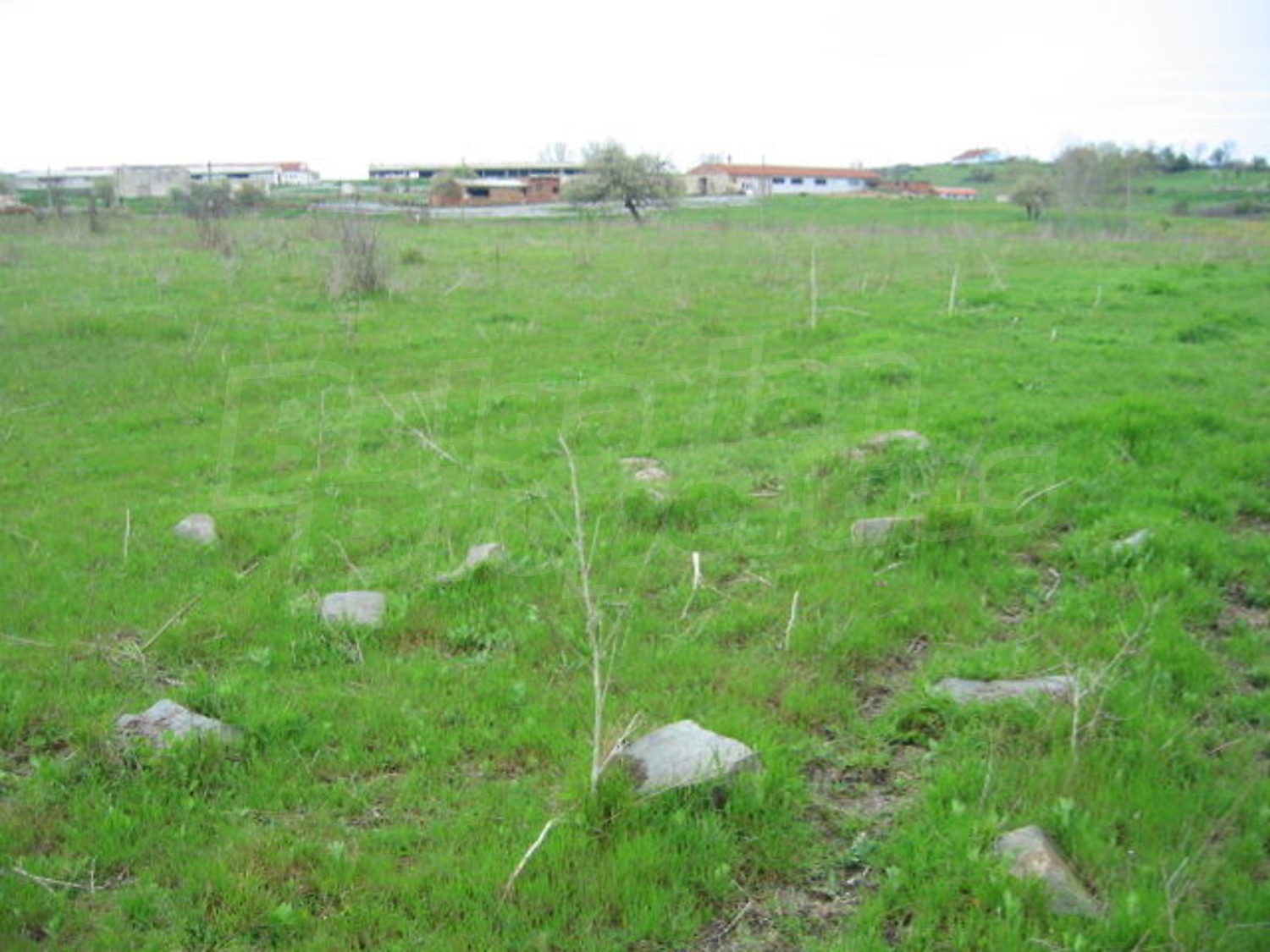 Gallery Picture 12
