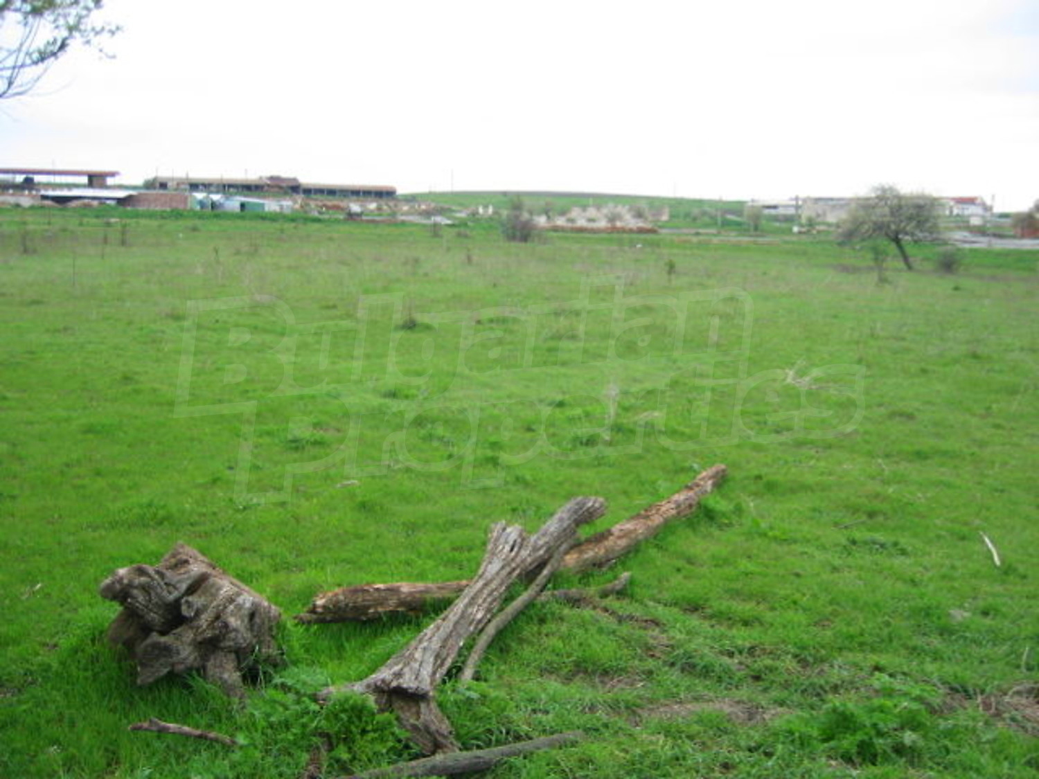 Gallery Picture 13