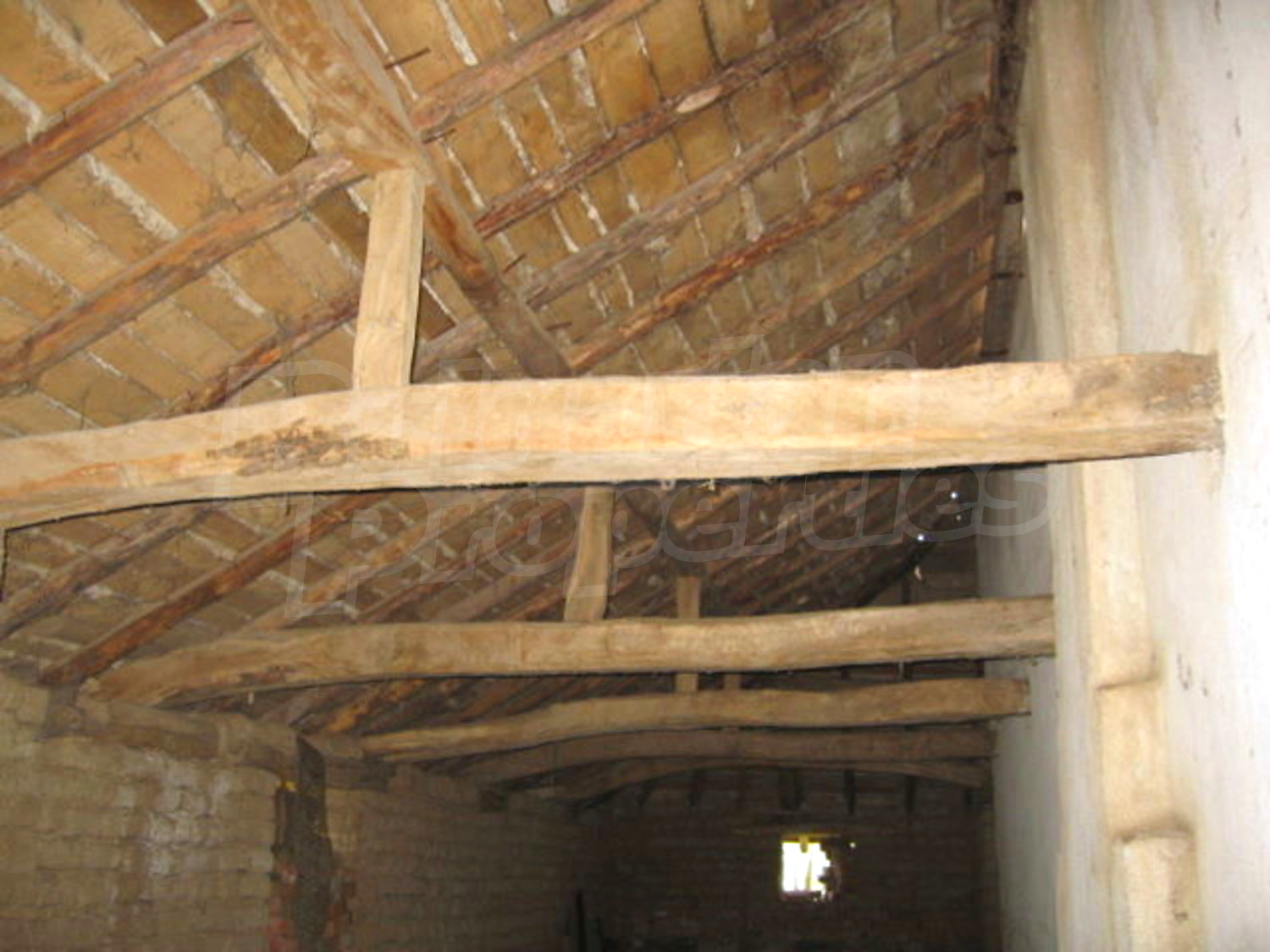 Gallery Picture 8