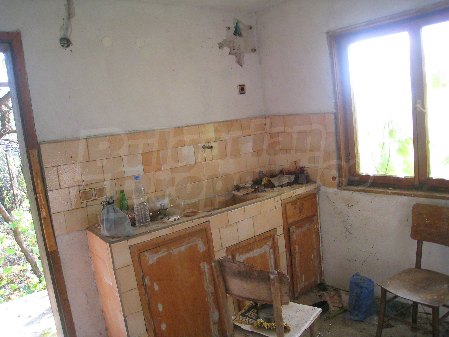 Gallery Picture 10