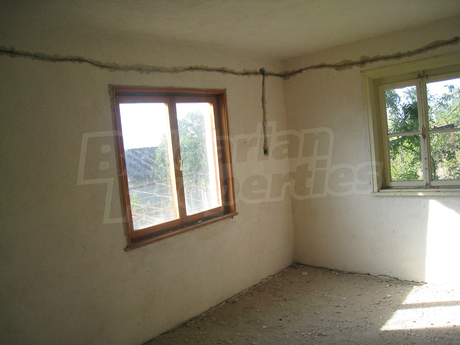Gallery Picture 11