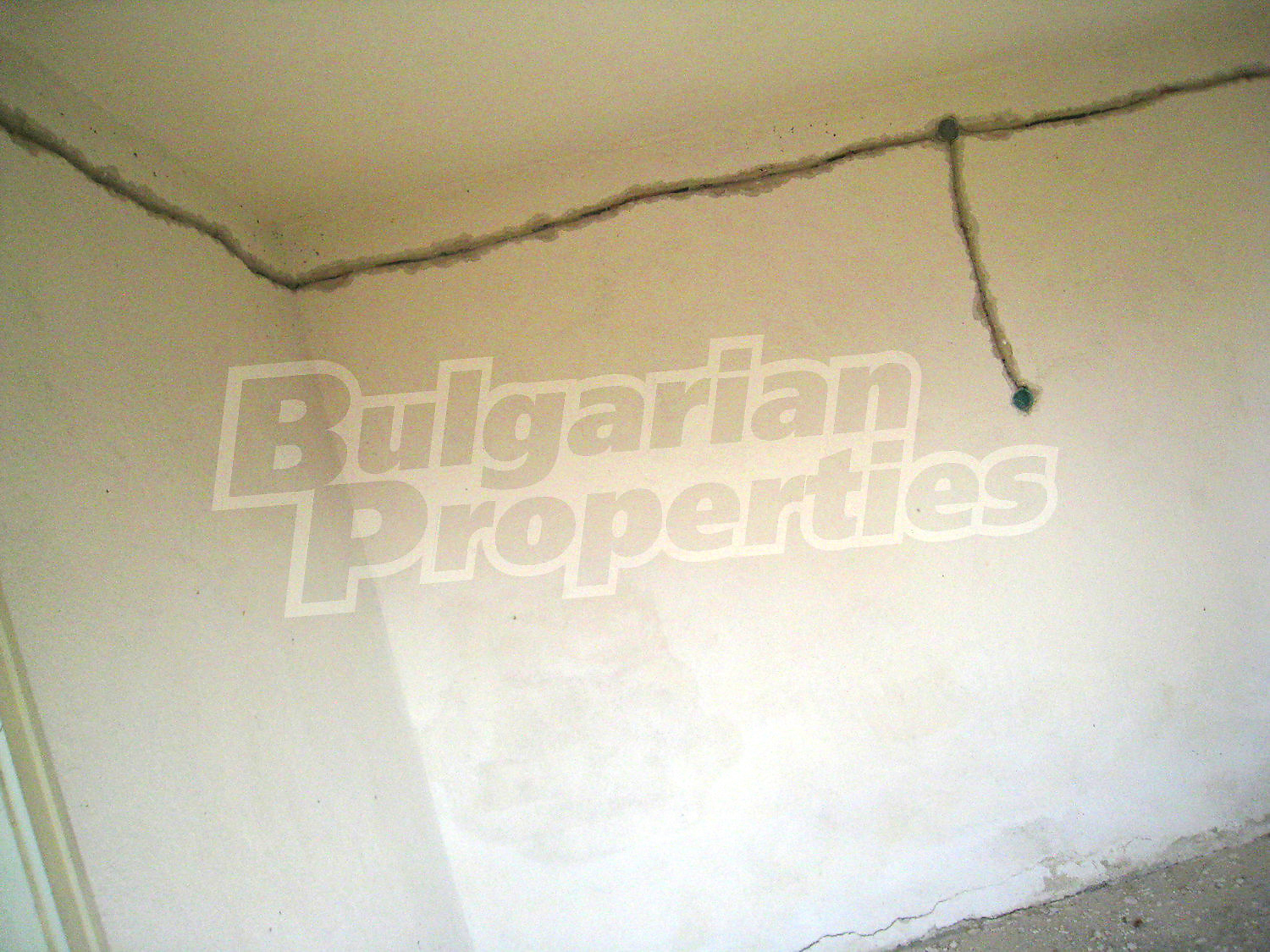 Gallery Picture 13