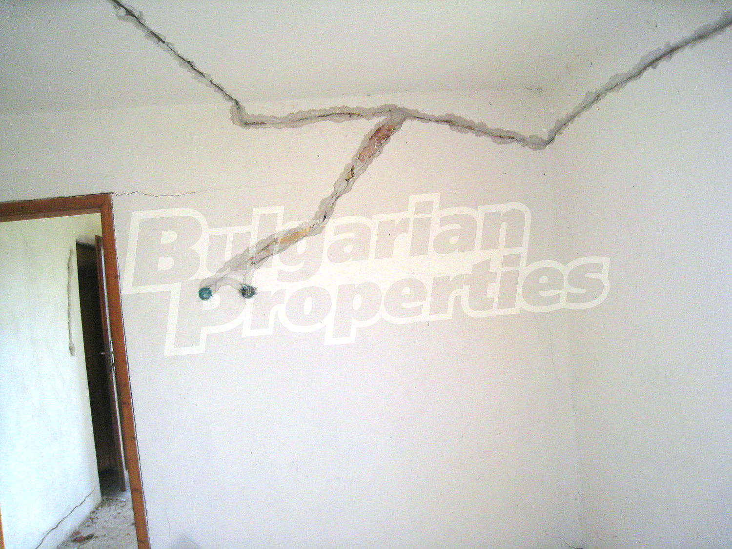 Gallery Picture 14