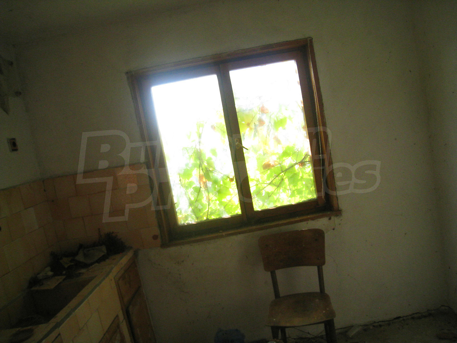 Gallery Picture 16