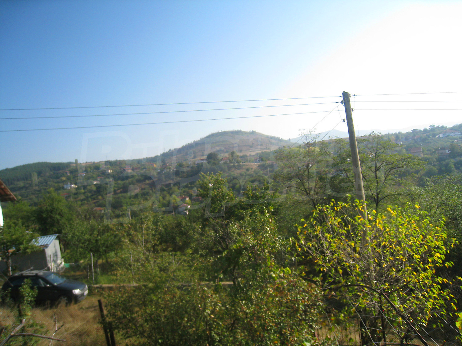 Gallery Picture 27