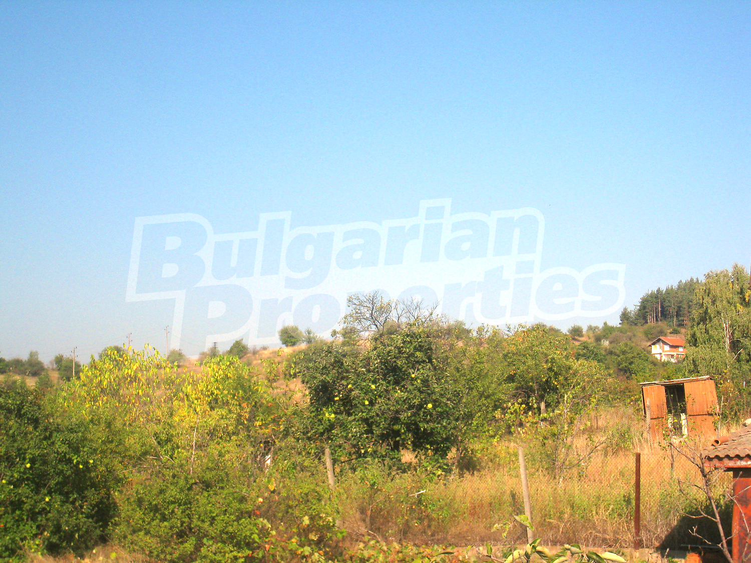 Gallery Picture 35