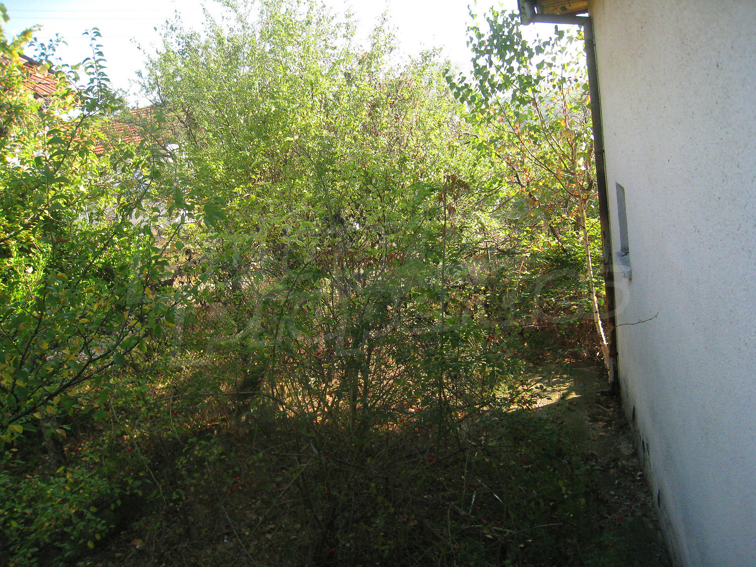Gallery Picture 36
