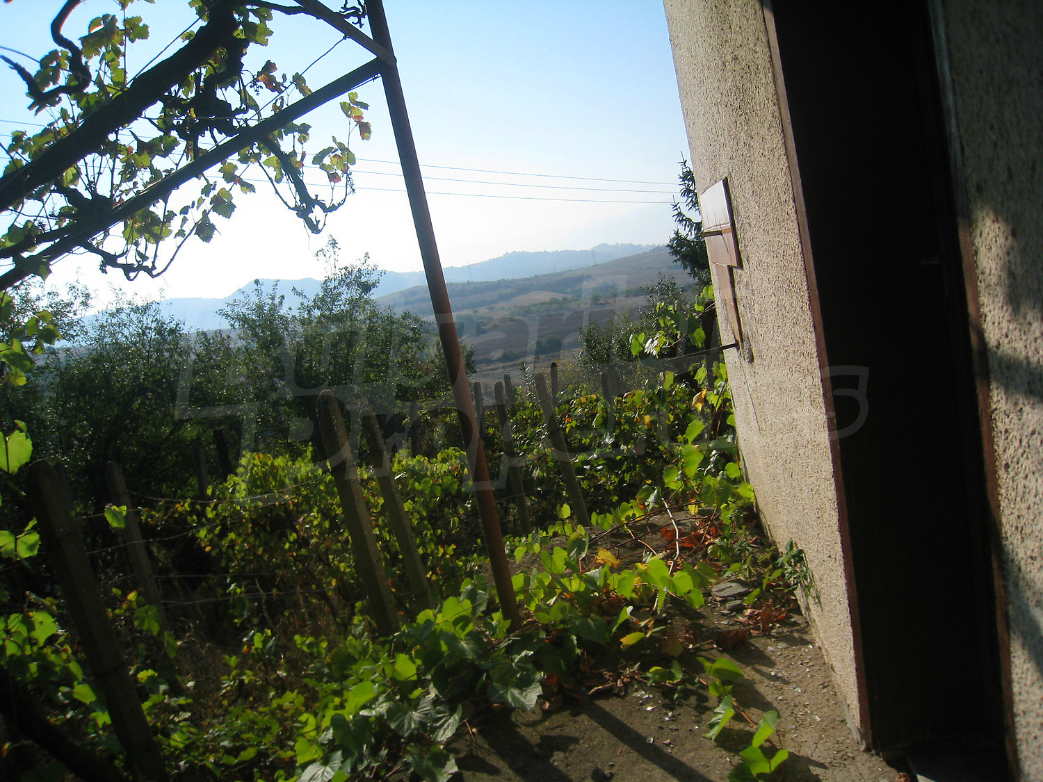 Gallery Picture 38
