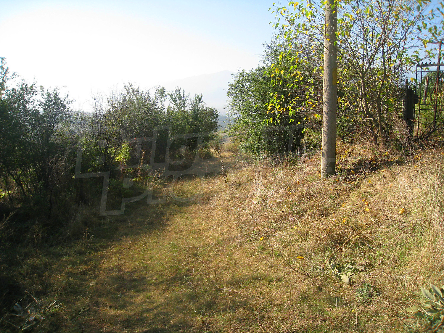 Gallery Picture 40