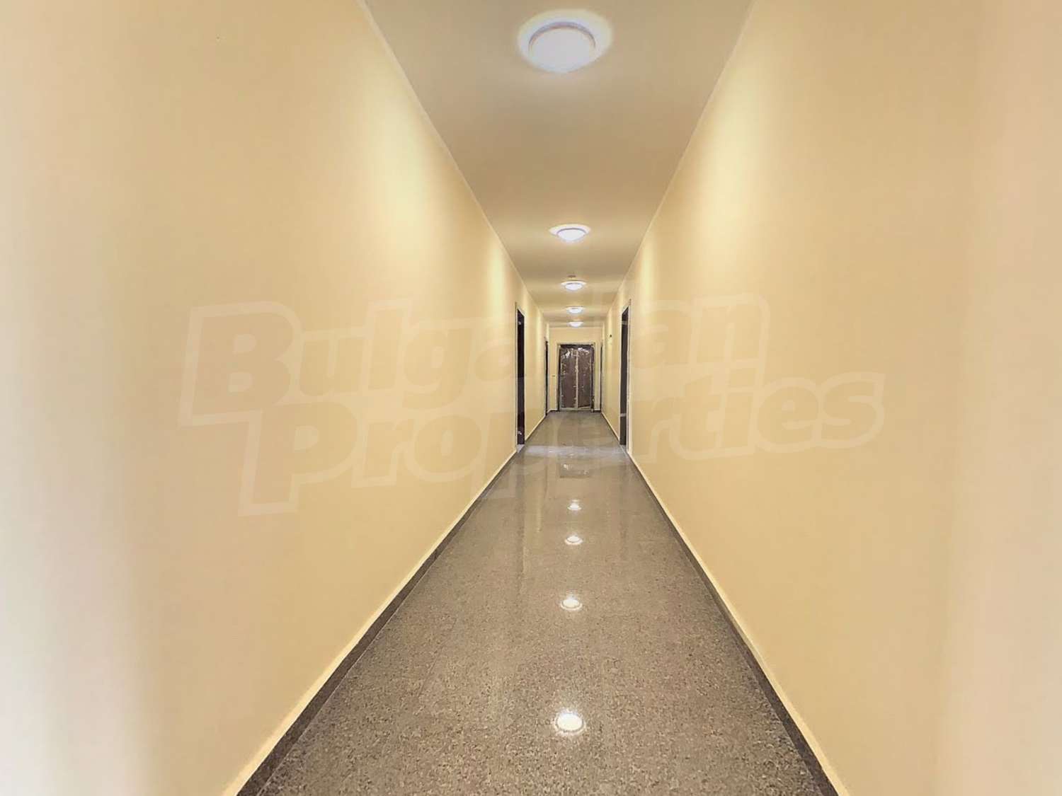 Gallery Picture 11