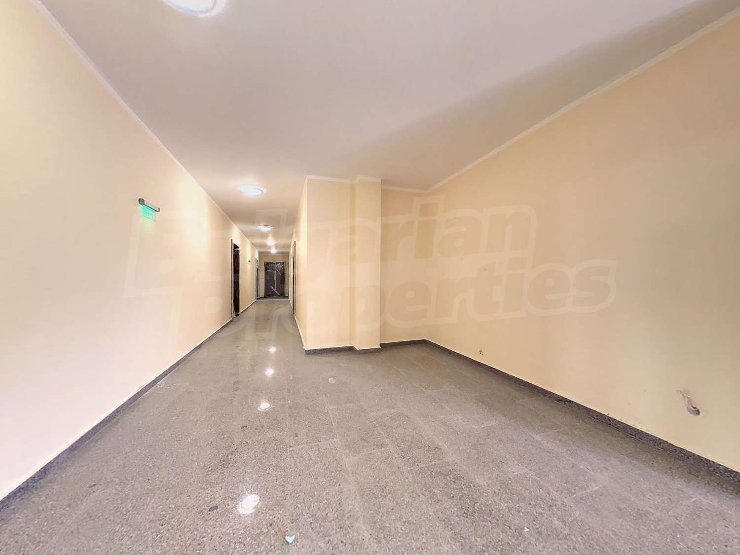 Gallery Picture 12