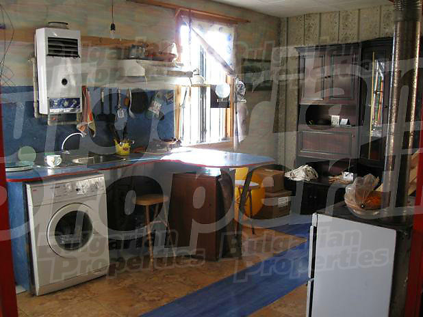 Gallery Picture 10