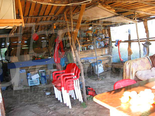 Gallery Picture 13