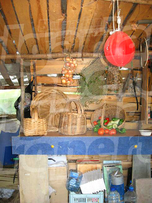 Gallery Picture 14
